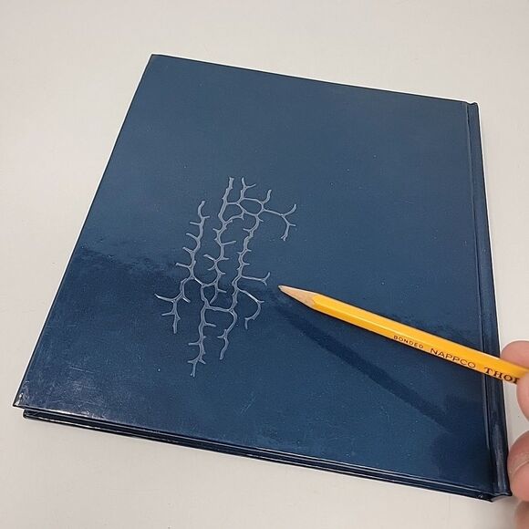 The Celtic Book Lot of 2 Book of the Dead: A Guide for Your Voyage + Oracles - Picture 6 of 13